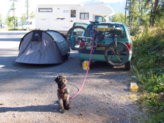 motorhome chien de garde